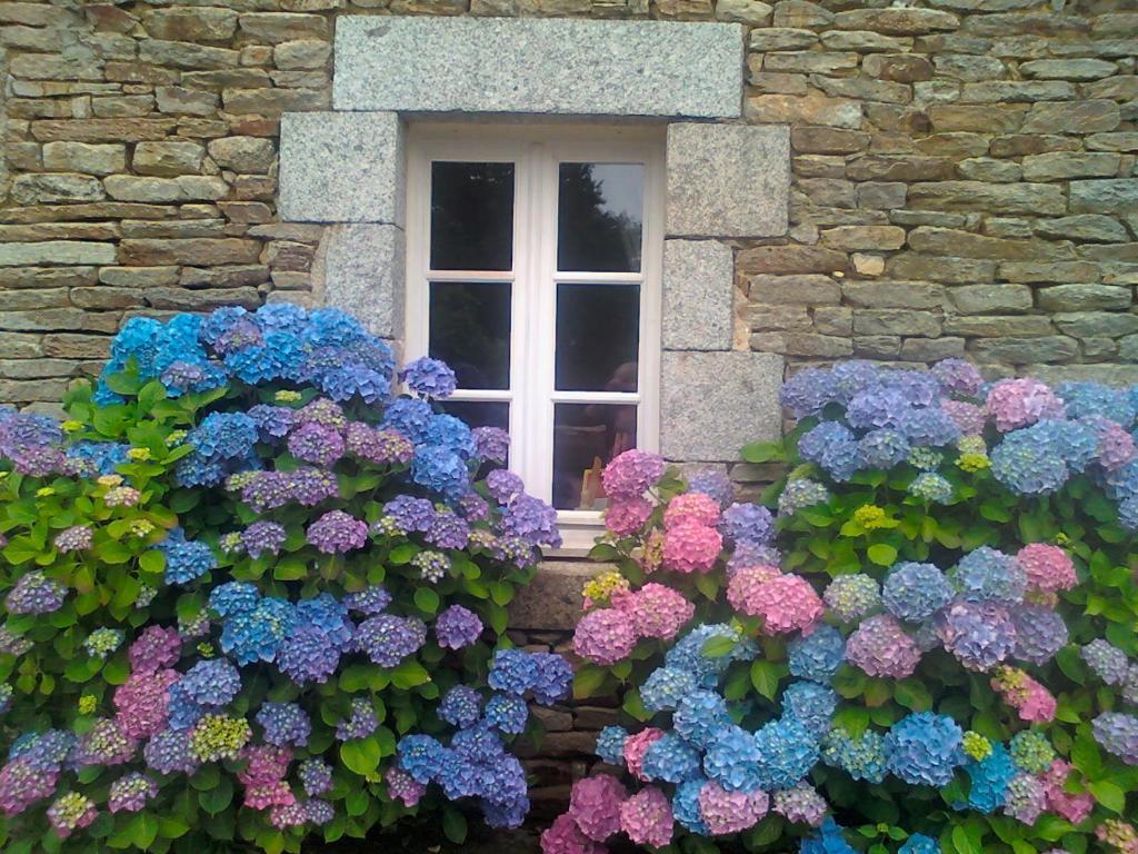 Le Petit Kerangoi Bed & Breakfast Pont-Aven Exterior photo